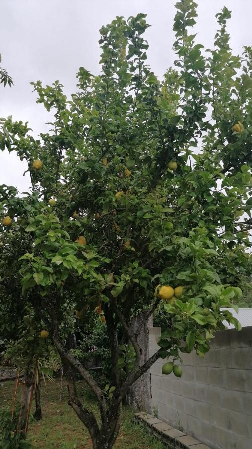 Casa independiente para grandes grupos y familias Valeixe Bagian luar foto